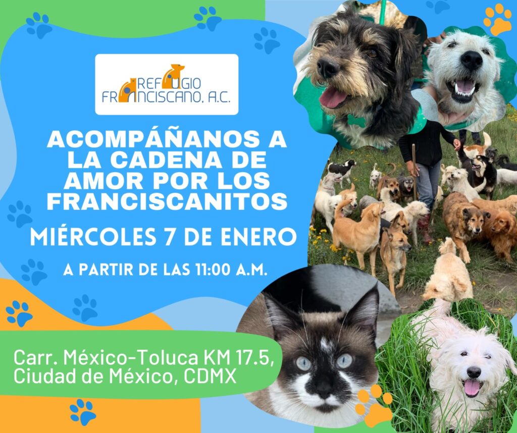 Refugio Franciscano alerta por violación a un fallo federal