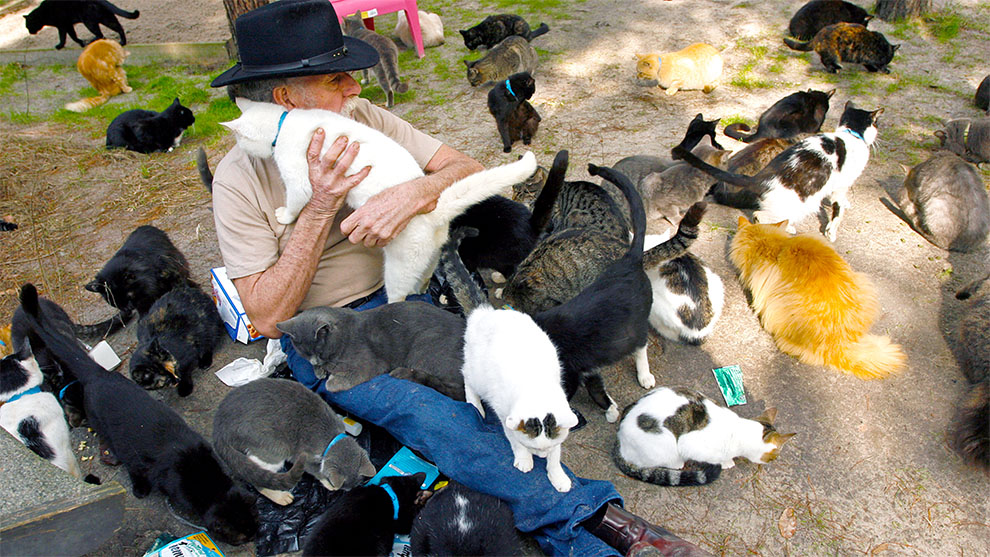Síndrome del arca de Noé: afecto a animales patológico
