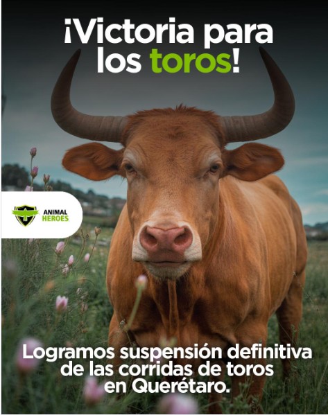 Suspenden corrida de toros en Querétaro