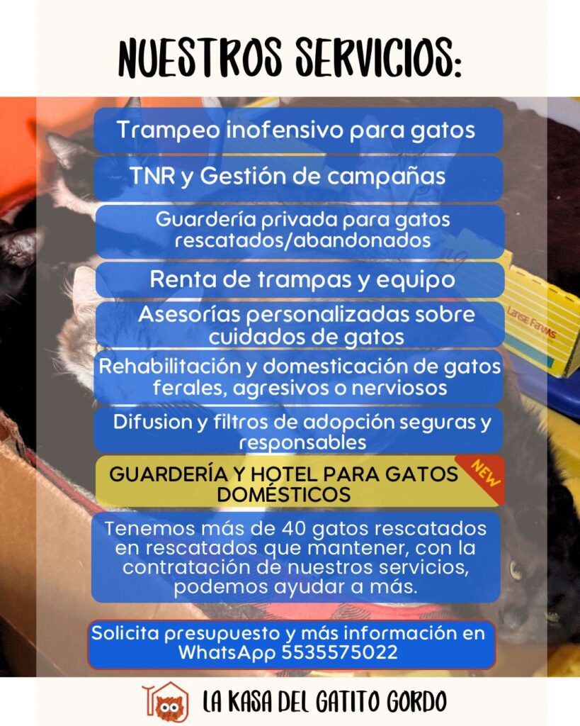 La Casa del Gatito Gordo: refugio y servicios 