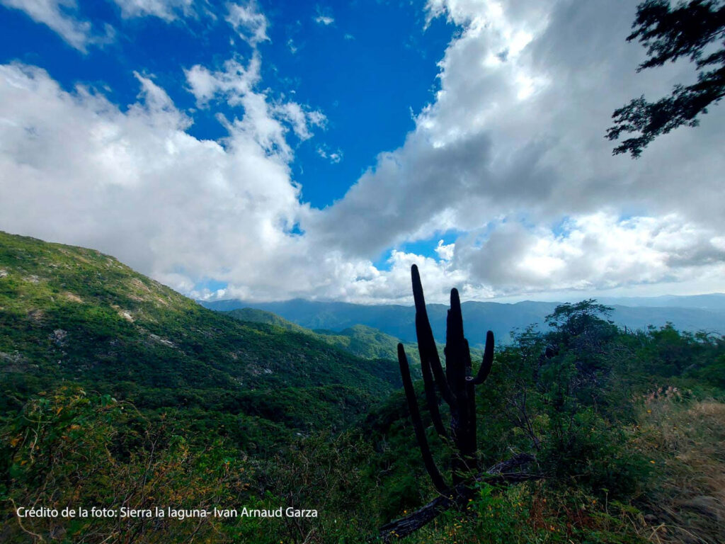 Solicitan desechar proyecto “Santuario del Tío Checo” 