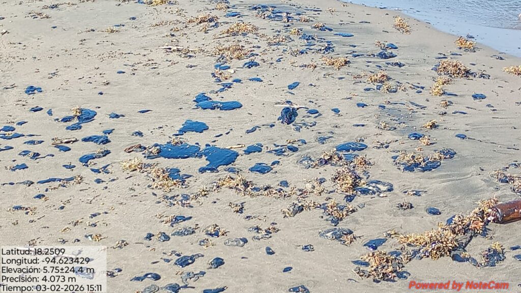 Petróleo envenena playas y una laguna en Veracruz 