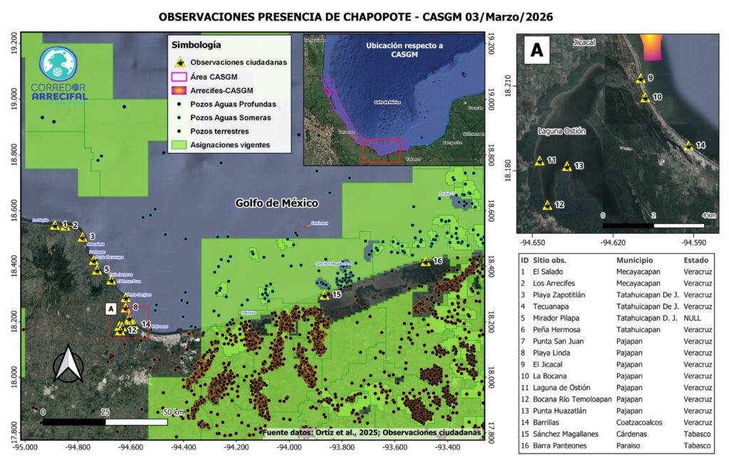 Petróleo envenena playas y una laguna en Veracruz 