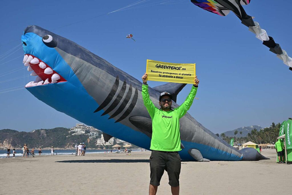 La vida marina toma el cielo en Acapulco-Guerrero  