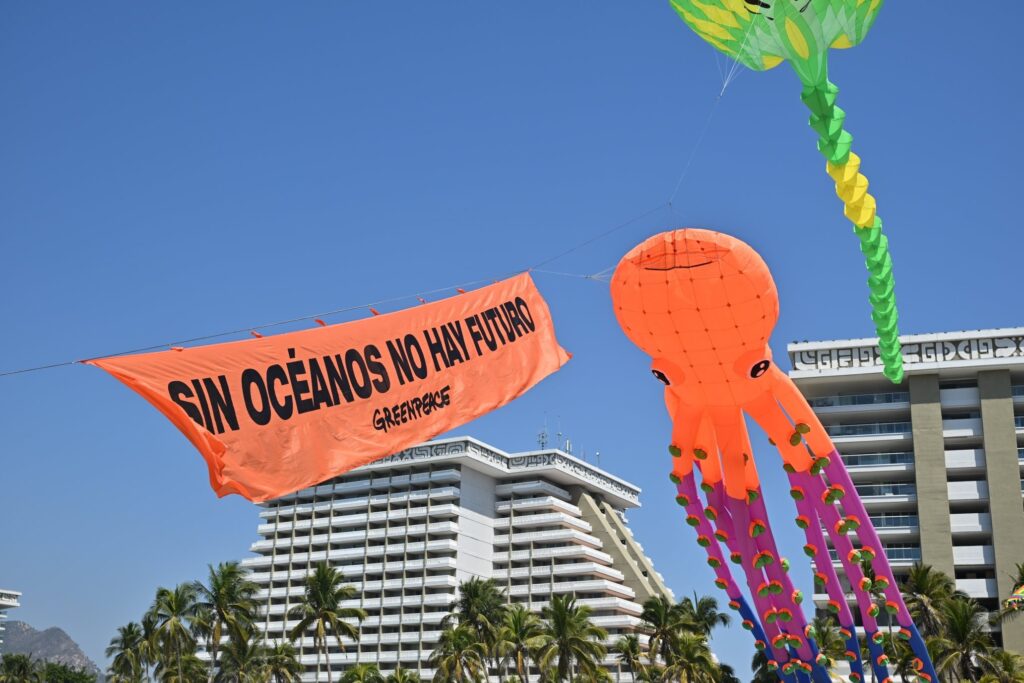 La vida marina toma el cielo en Acapulco-Guerrero  