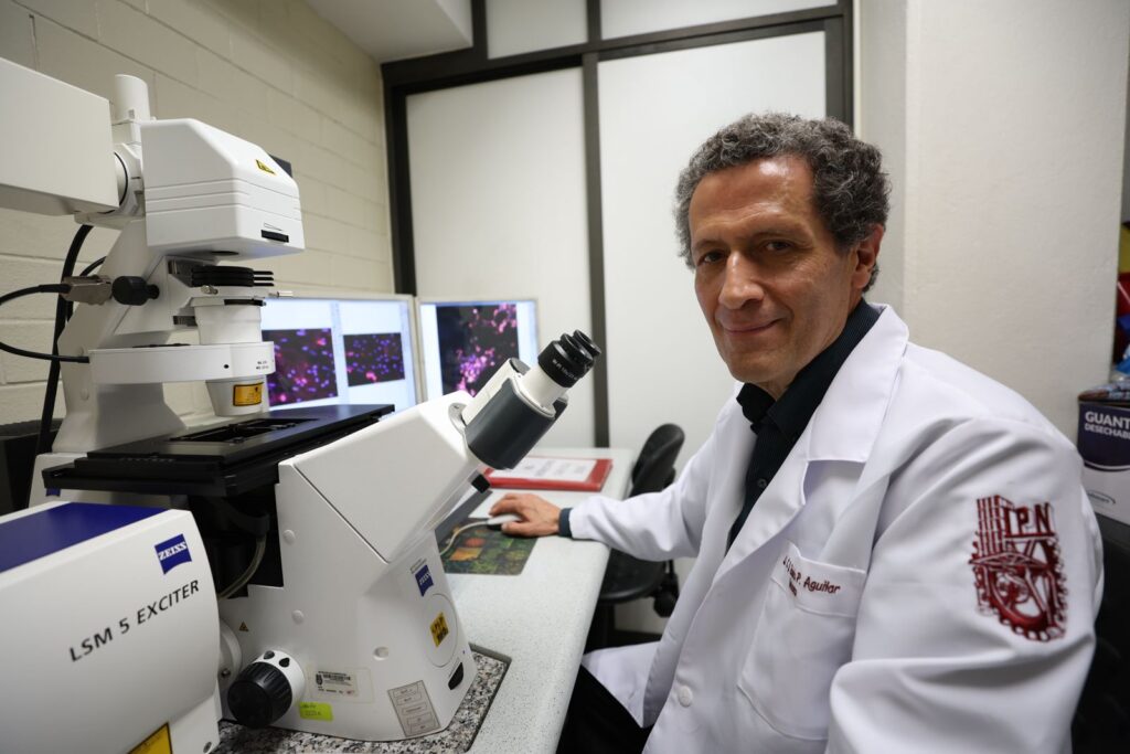 Con células madre: IPN logra regeneración de huesos