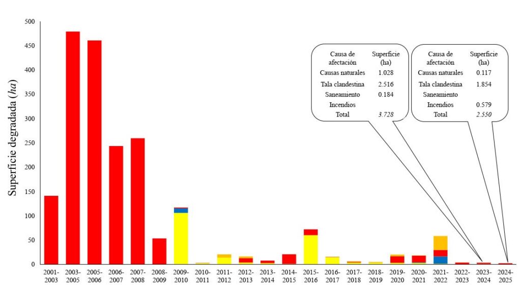La presencia de la mariposa Monarca aumenta 64% 