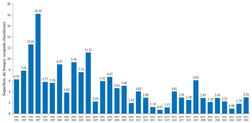 La presencia de la mariposa Monarca aumenta 64% 
