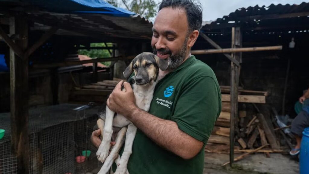 Impulsan erradicar comercio de carne de perro
