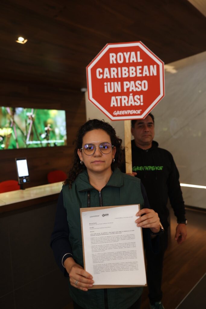 “Día Perfecto” ¿para quién? exigen proteger selva maya