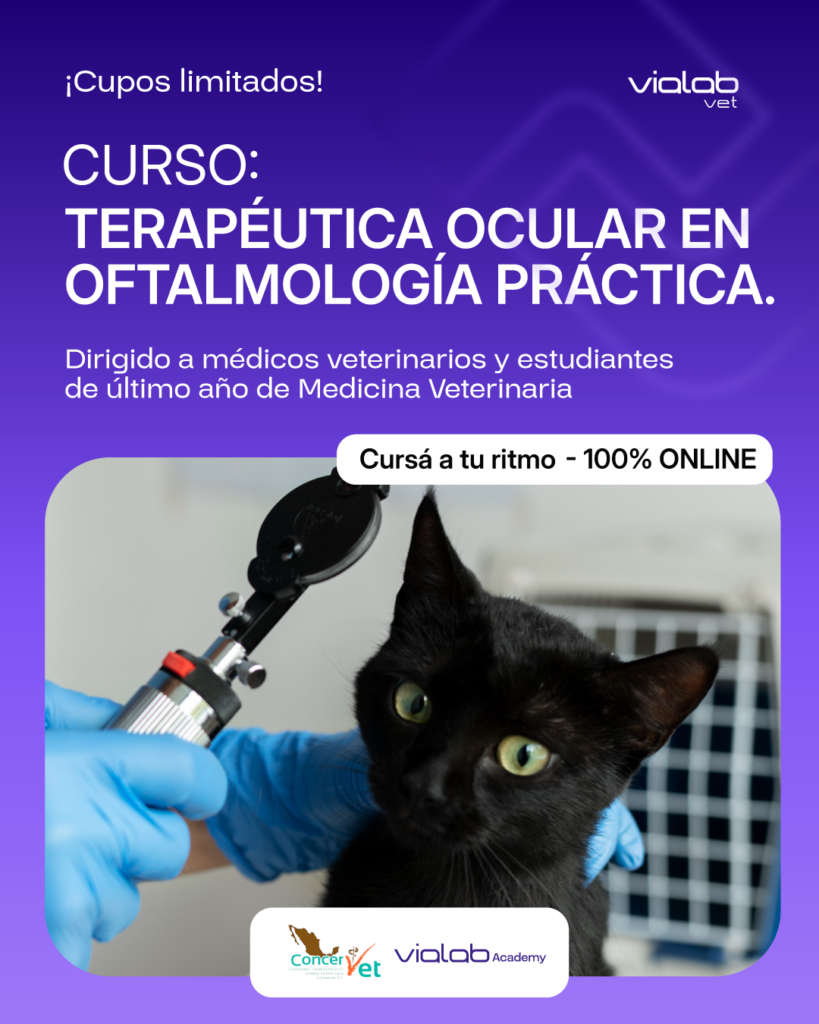 La formación continua abre nuevas oportunidades 