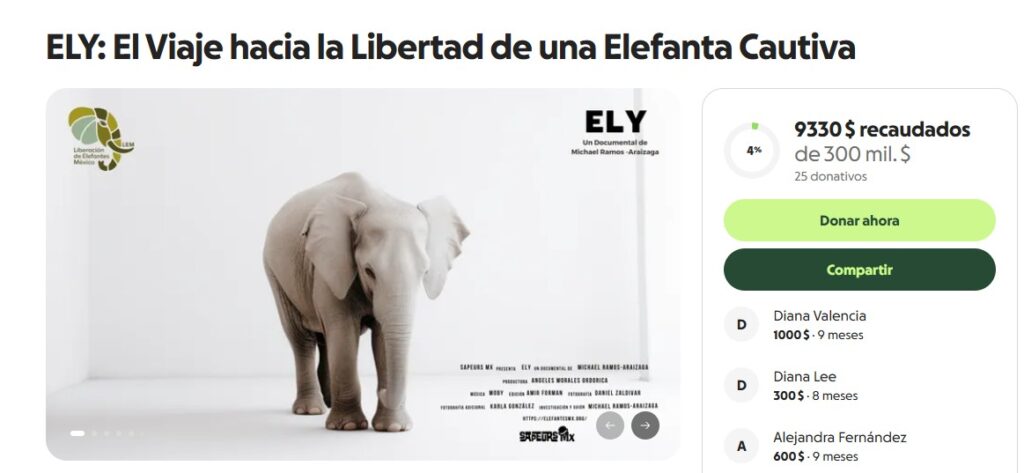 Lanzan recaudación de fondos para "ELY": el documental 