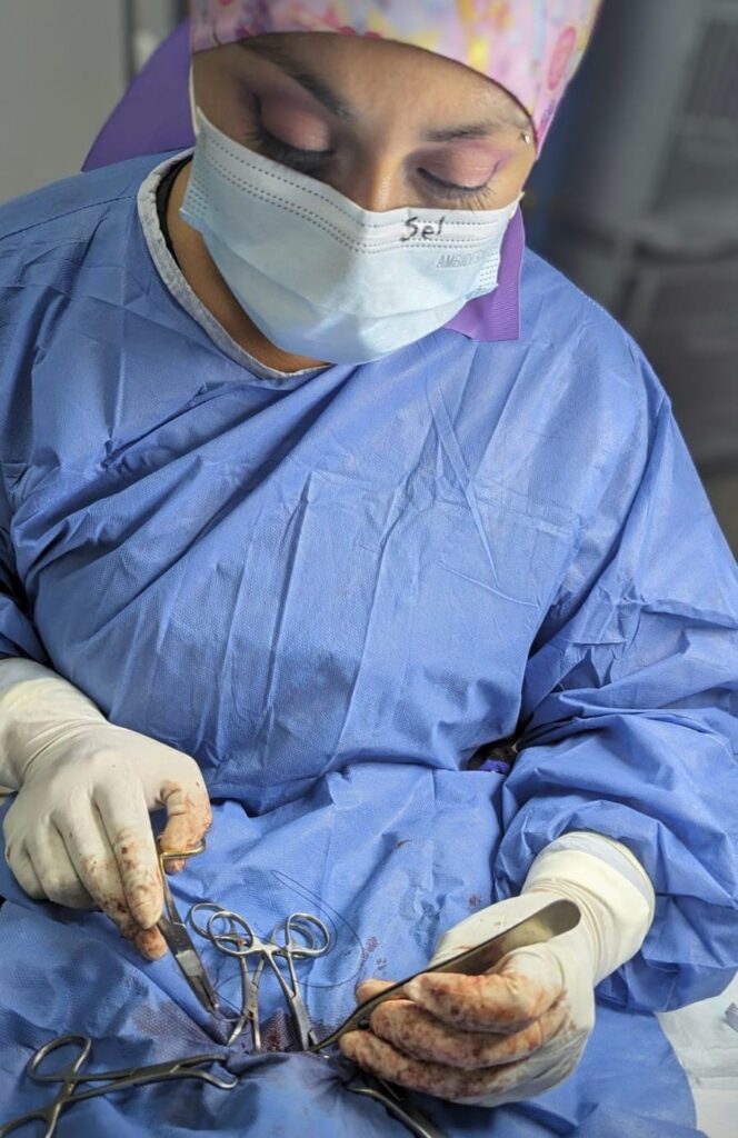 Cuidados de cachorros: vacunas y esterilización