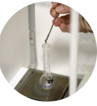 Microbiota infantil: ecosistema que define la salud futura