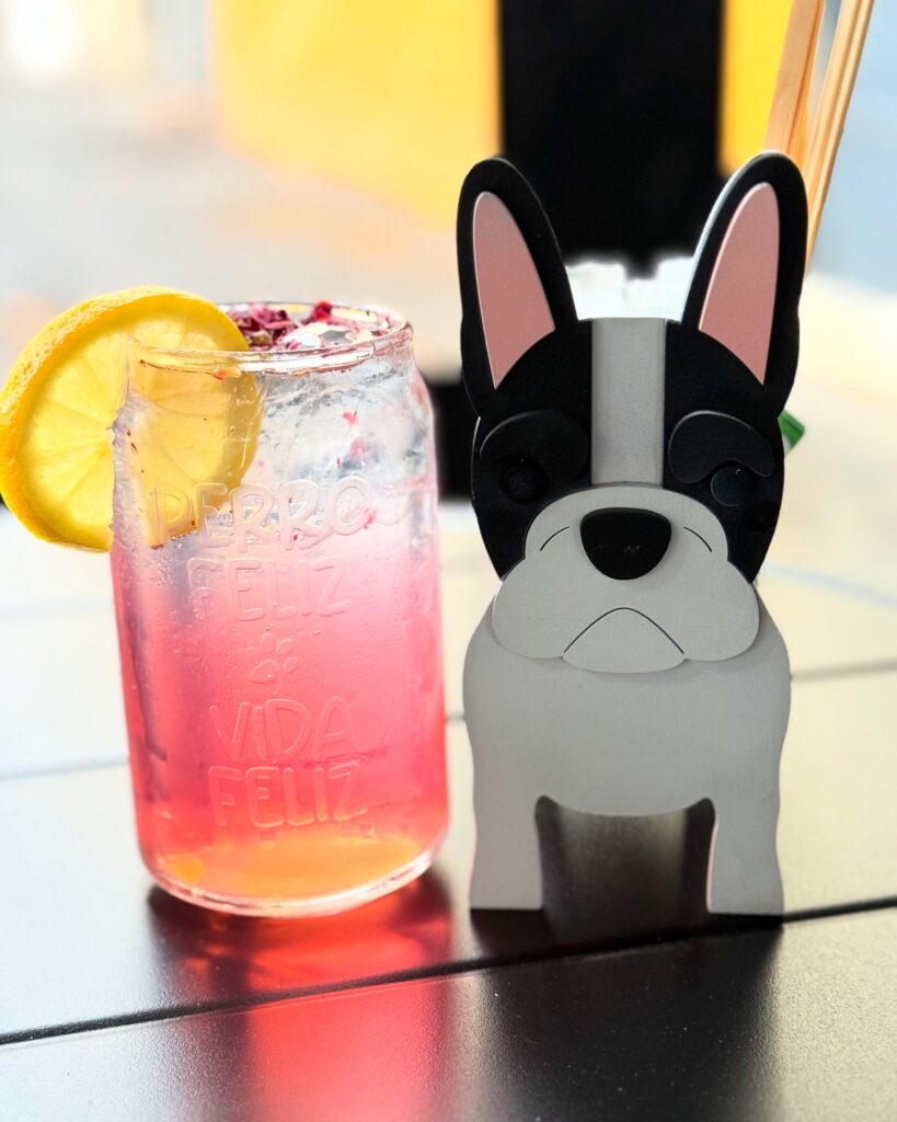 Friloo Café: el spot petfriendly de CDMX