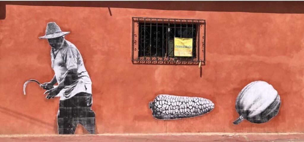 Rostros de San Bartolo Coyotepec- Oaxaca