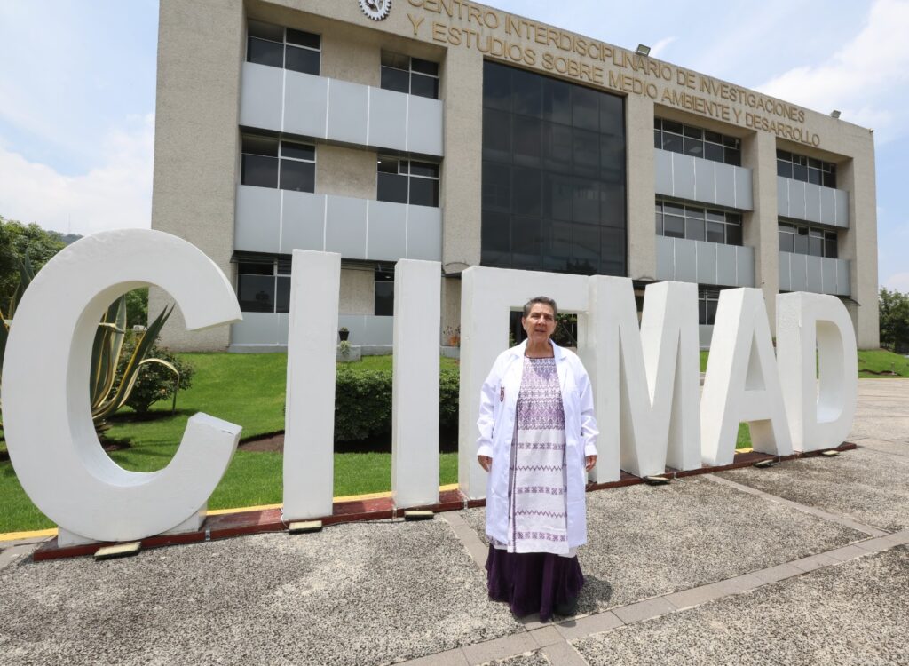 Instala IPN estaciones para monitorear sargazo 