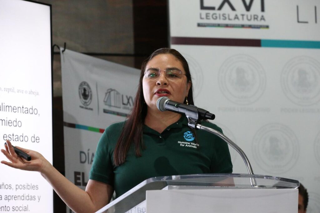 Prohibición de tauromaquia avanza en Hidalgo