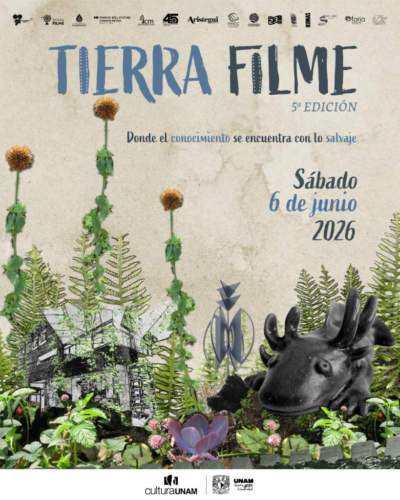 ¡Llega TierraFilme 2026: festival de cine!