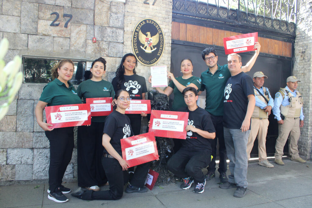 700 mil firmas contra comercio de carne de perro y gato