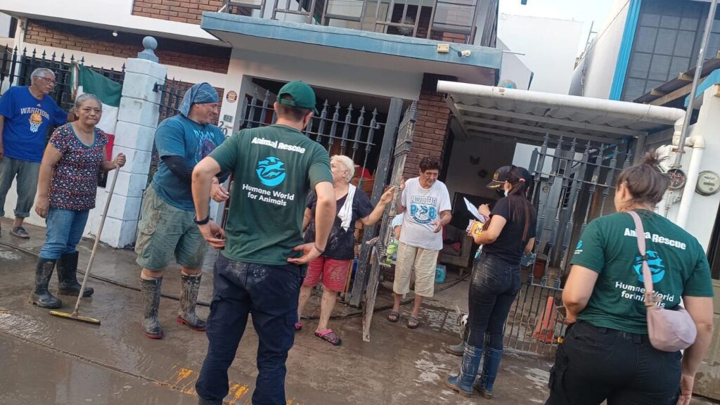 Analizan inclusión de animales en gestión de desastres