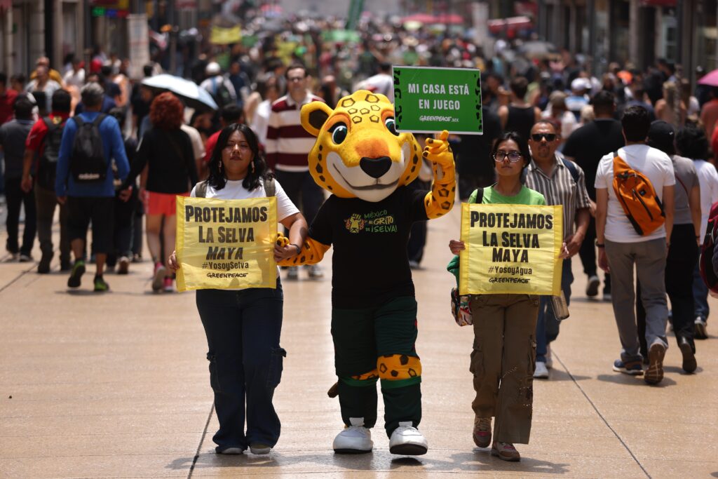 El jaguar Kanan inicia su recorrido por México 