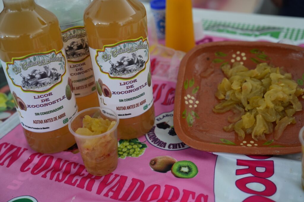 Ciencia y tradición se unen  para defender el nopal 