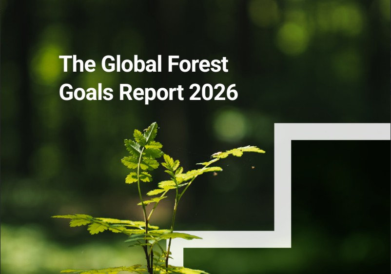 ONU vincula la deforestación global al sistema alimentario