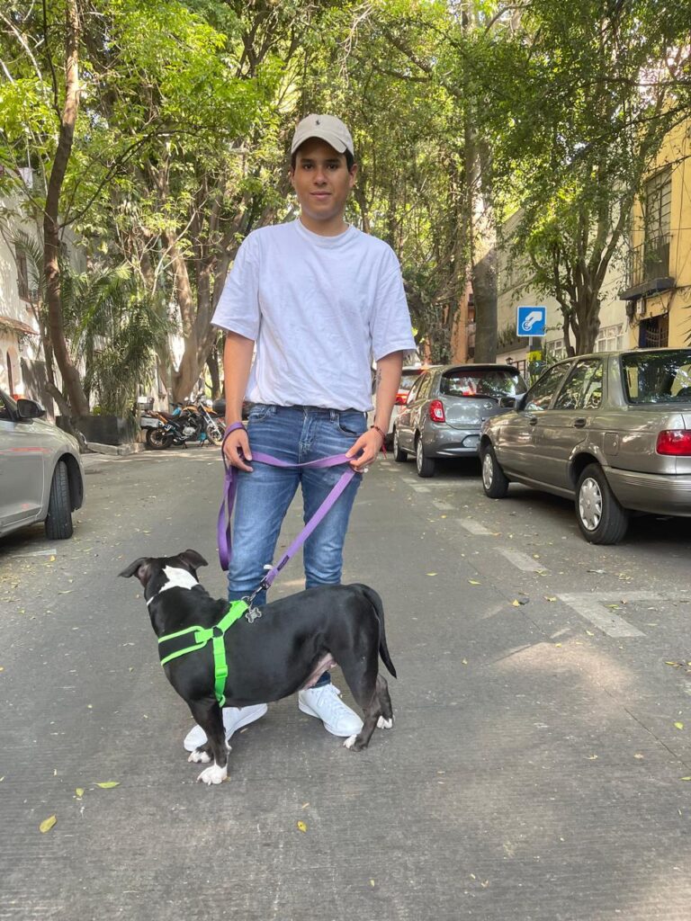 Percy prepara homenaje musical dedicado a las aves
