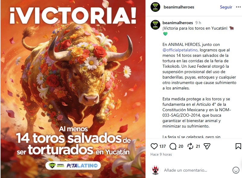 Consiguen prohibición de tortura contra los toros 