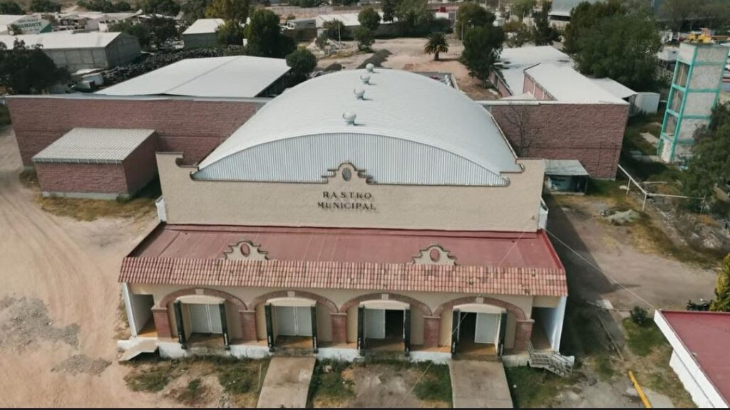 Denuncian al Rastro de Pachuca por crueldad animal