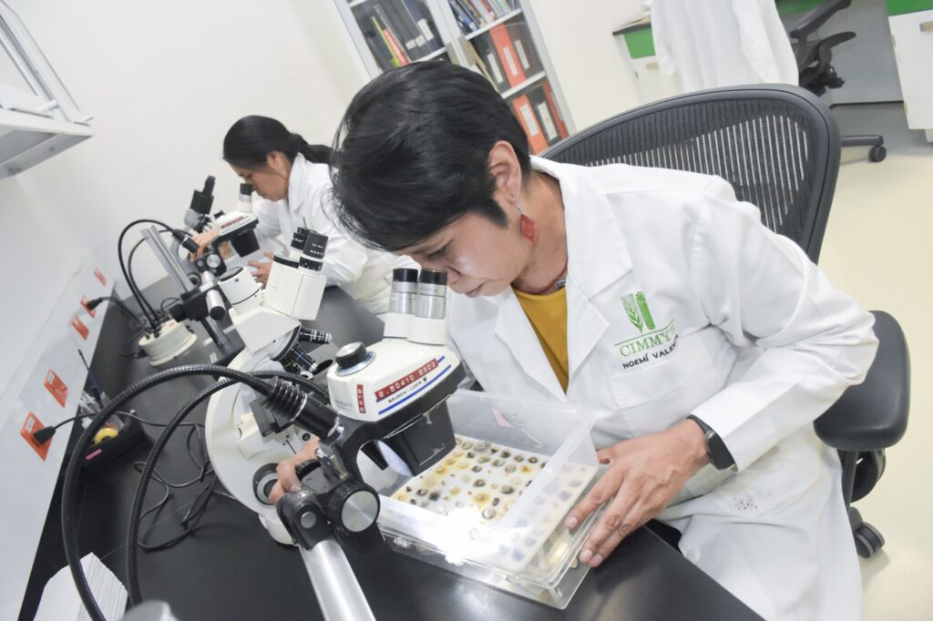 Sanidad vegetal: pilar de la seguridad alimentaria
