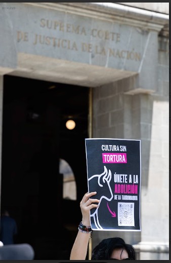 Avanza agenda nacional de protección animal