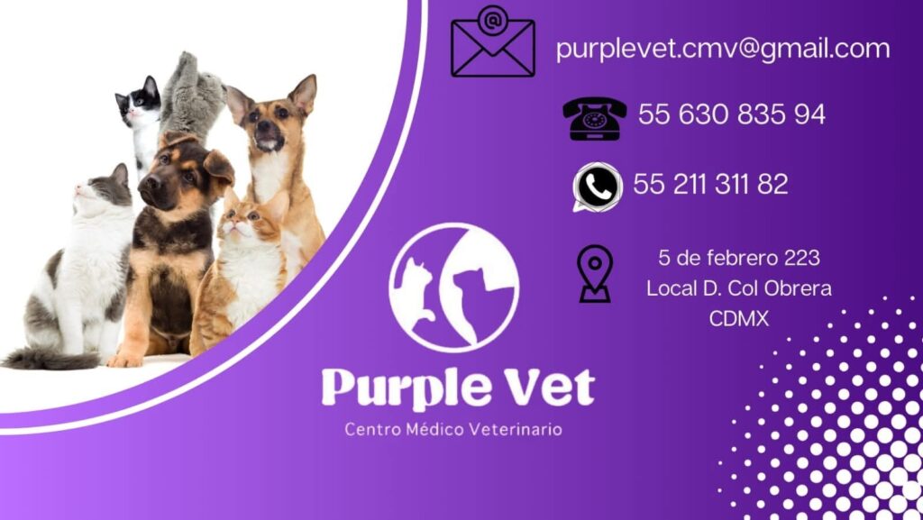 Cuidados de cachorros- vacunas y esterilización
