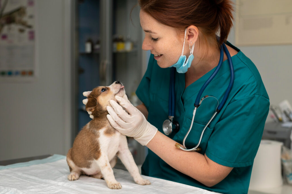 Nuevas generaciones mueven el pet care a la prevención