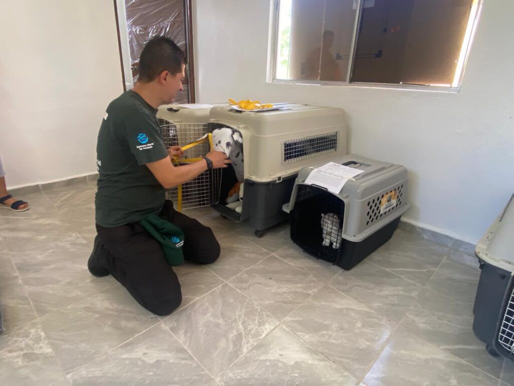 Yucatán se prepara ante huracanes con simulacro