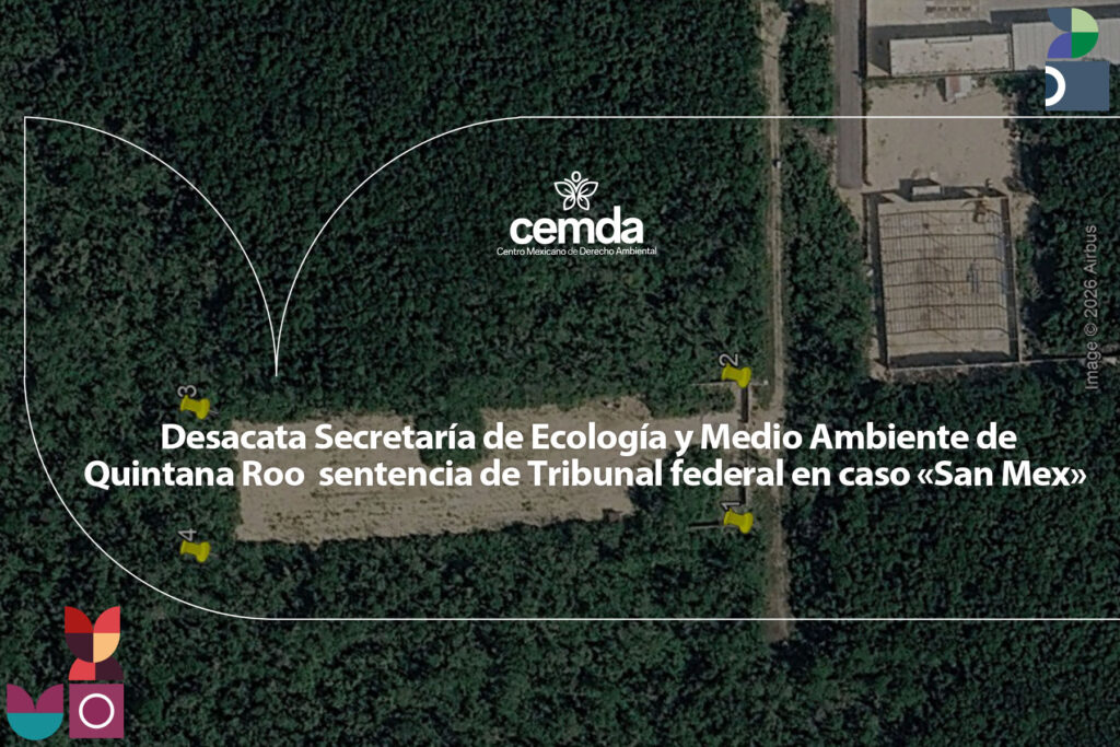 Desacatan sentencia de Tribunal en caso «San Mex»