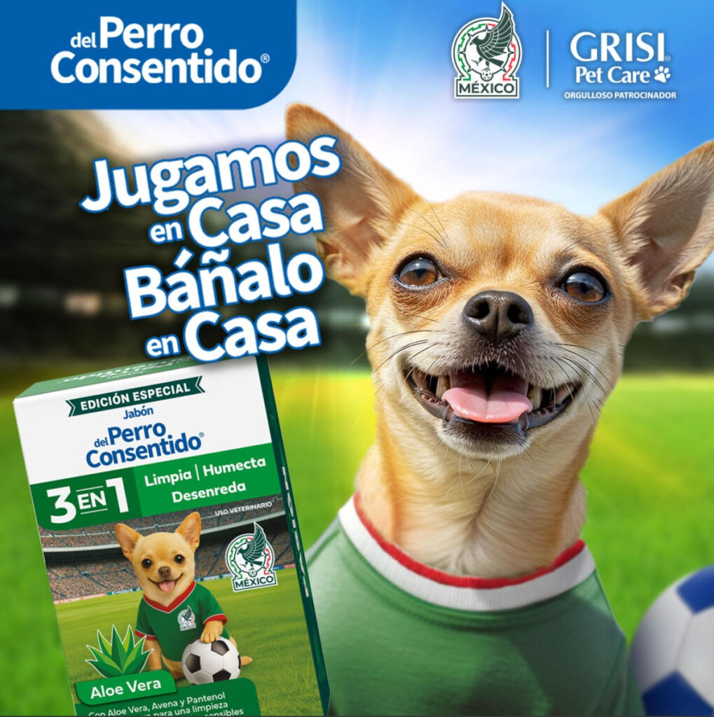 Cómo preparar a tu perro para disfrutar la fiesta del futbol 
