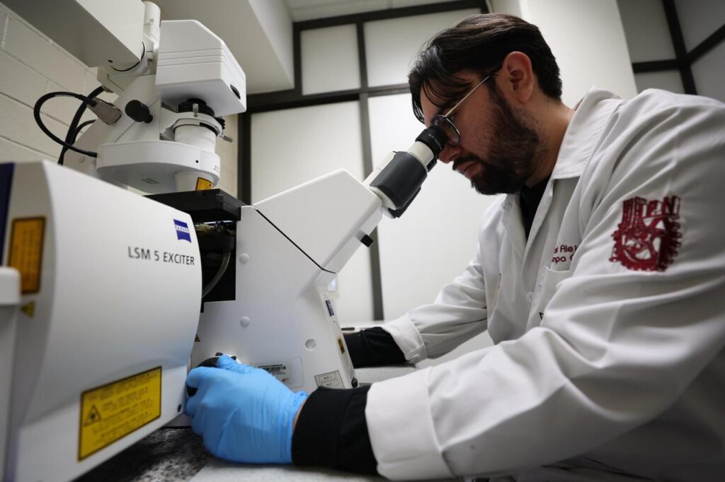 IPN se sitúa entre las 10 mejores universidades del país