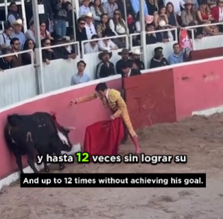 Animalistas denuncian crueldad en corrida de toros