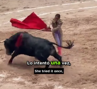 Animalistas denuncian crueldad en corrida de toros
