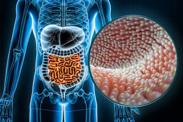 México avanza en el conocimiento sobre la microbiota