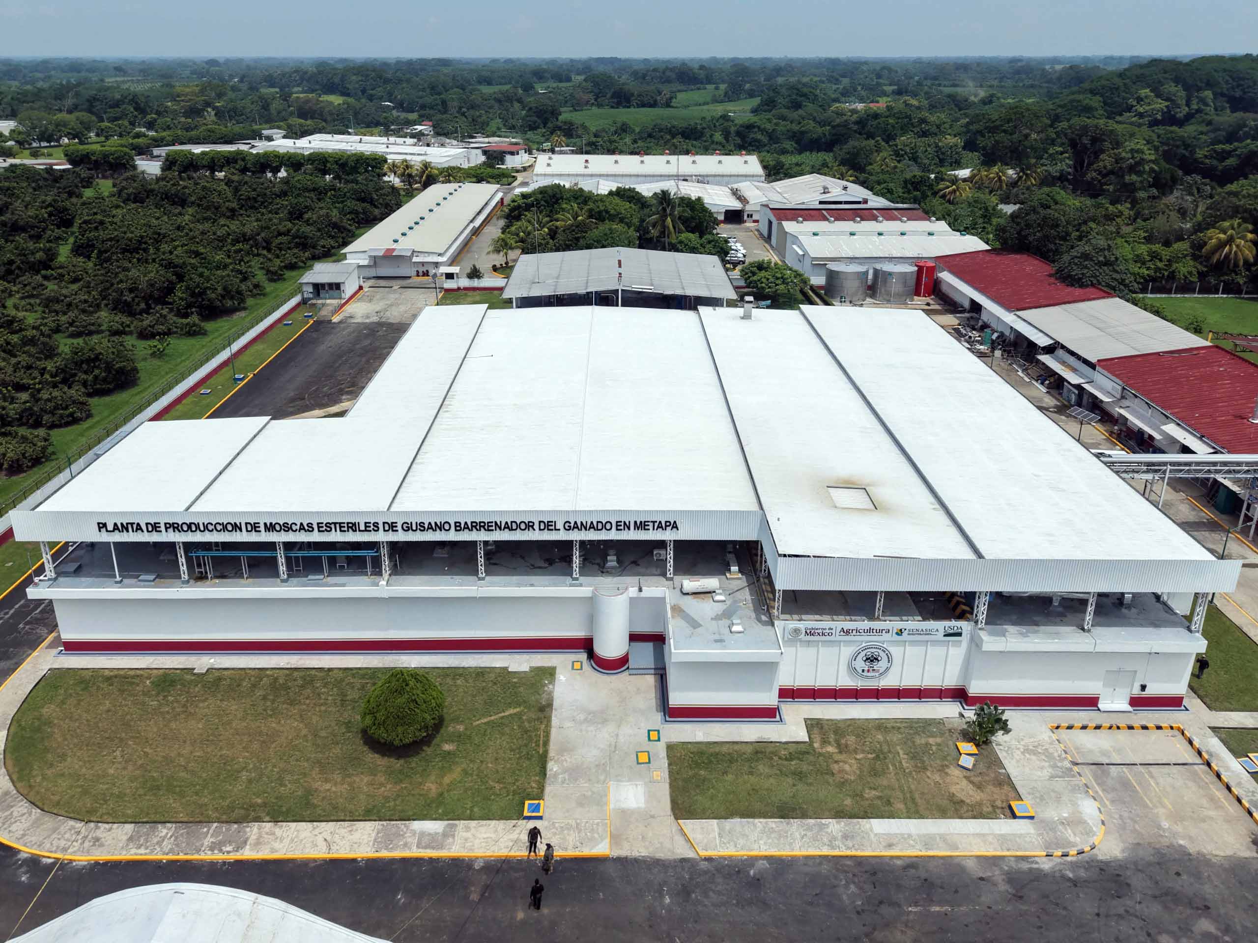 Inauguran nueva planta de moscas estériles 