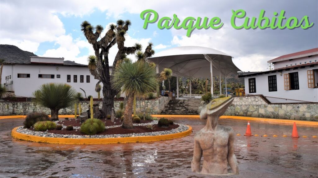 Alertan riesgo a la fauna silvestre de Pachuca