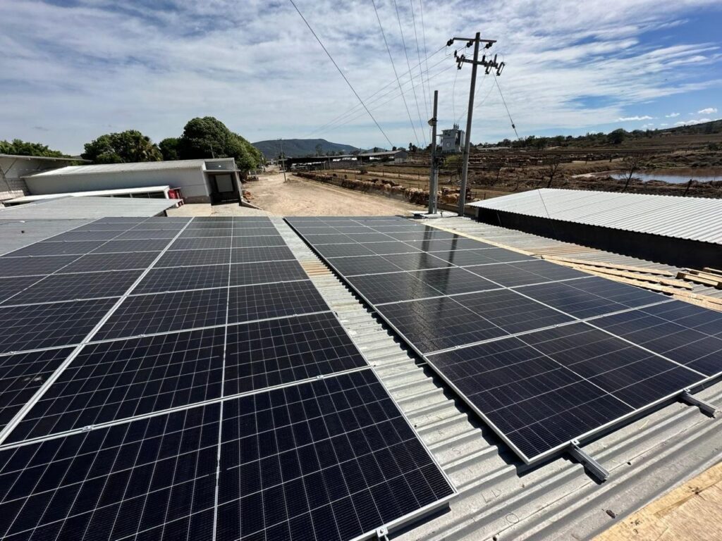 Energía solar: clave para enfrentar el consumo eléctrico