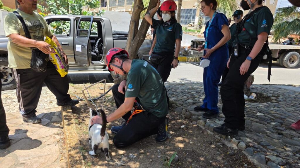 Rescatistas de animales despliegan en Venezuela