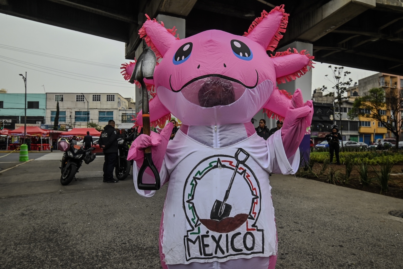 Los antisímbolos del Mundial: El Ajolote Buscador