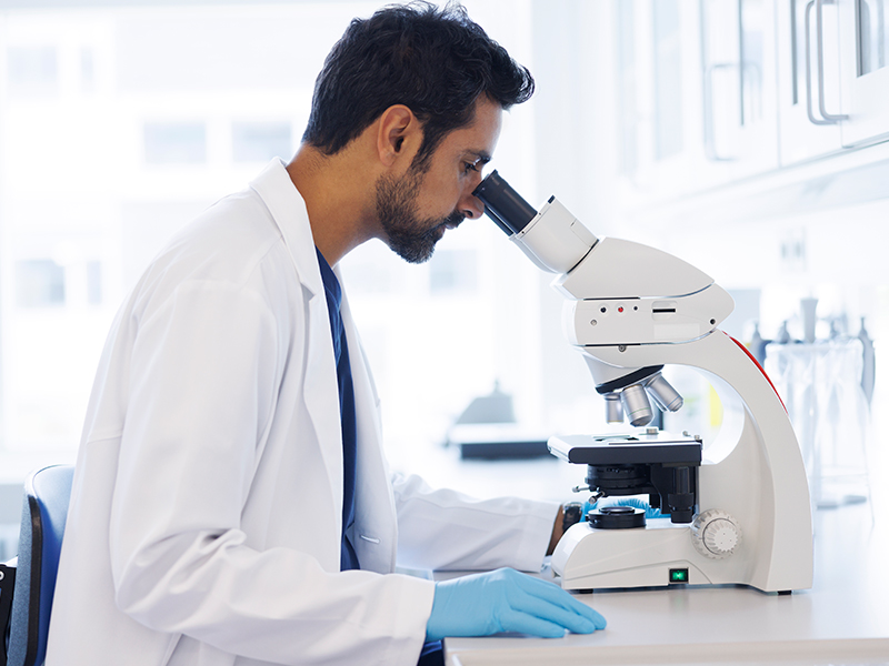 Diabetes tipo 2: desafío crucial para la salud pública