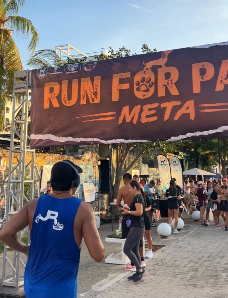 ¡Éxito total en la carrera con causa "Run for Paws"! 