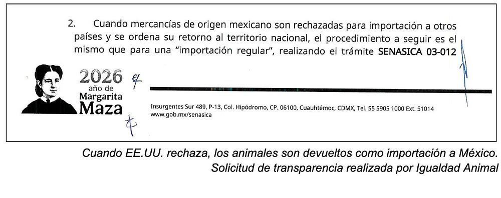 EE.UU. rechazó decenas de miles de animales mexicanos